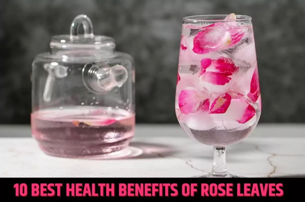 10 best health benefits of rose leaves